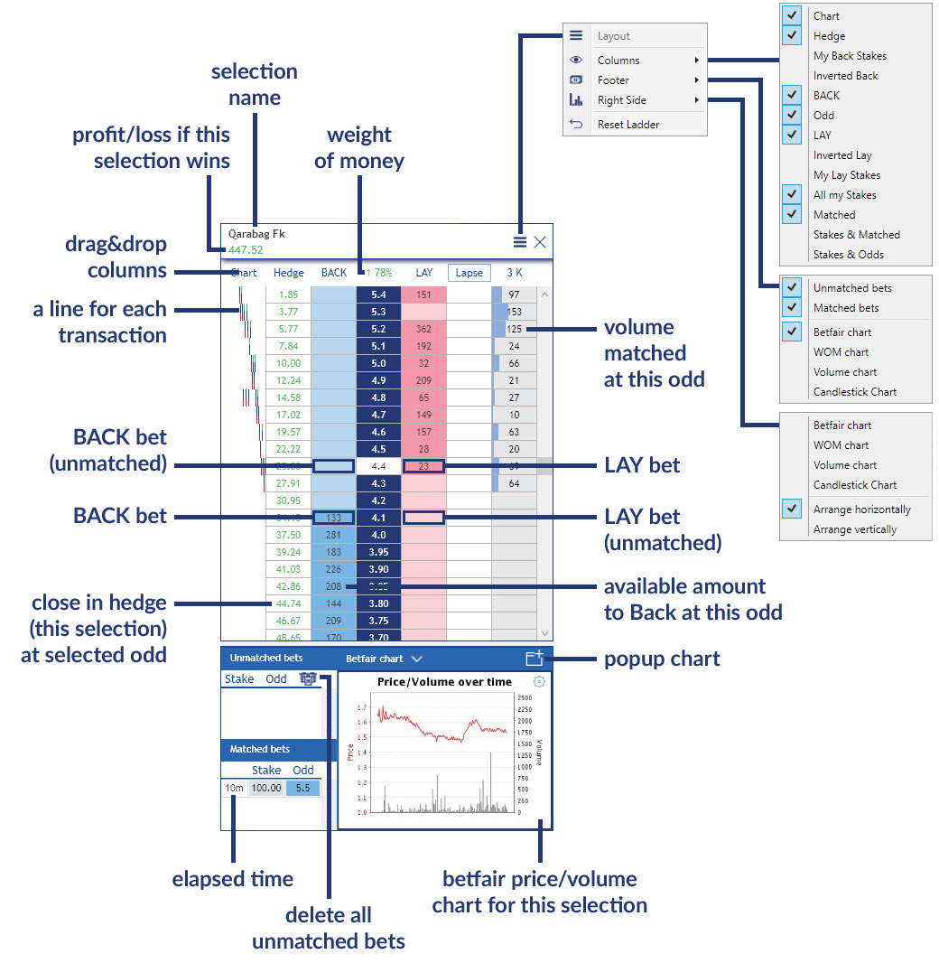 Ladder view User Guide Wagertool